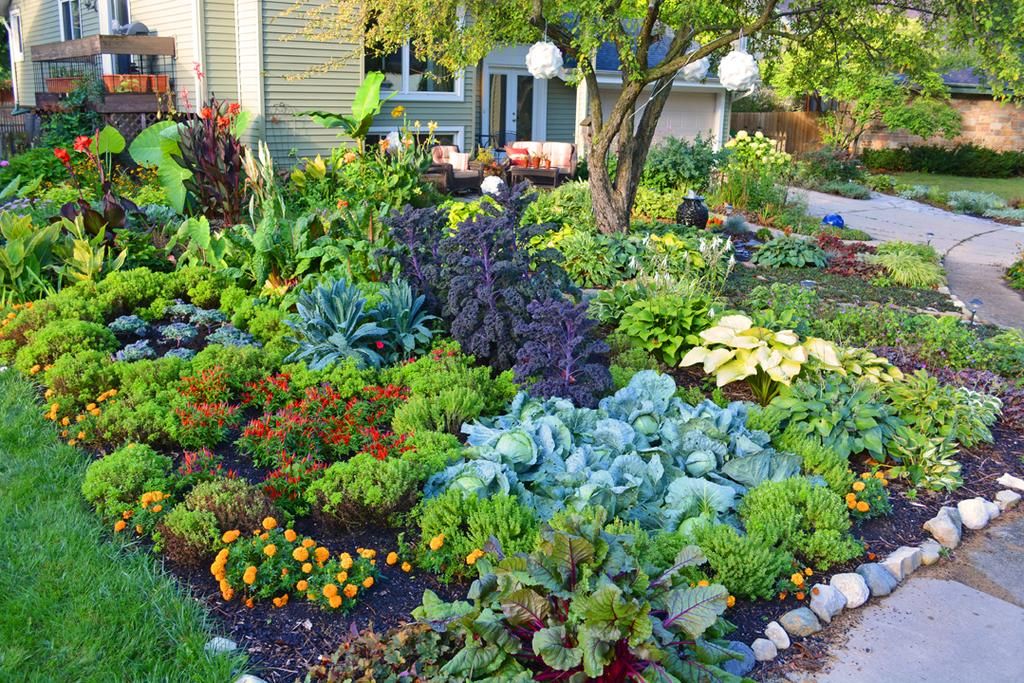 Дизайн сада и огорода своими руками картинки: картинки, иллюстрации и фото, как красиво оформить сад-огород