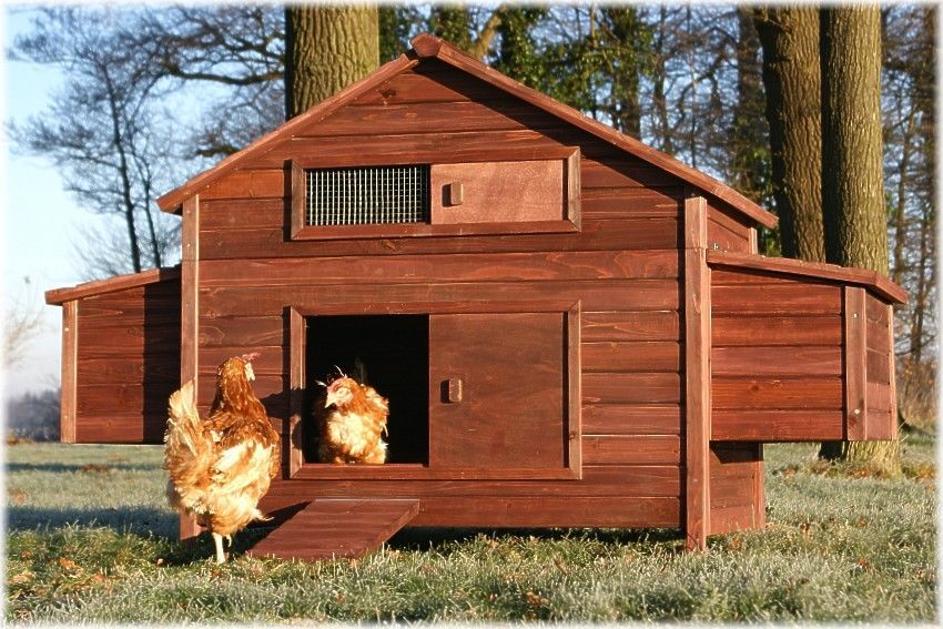Курятник красивый: Красивый Курятник на Даче — 55 фото идей
