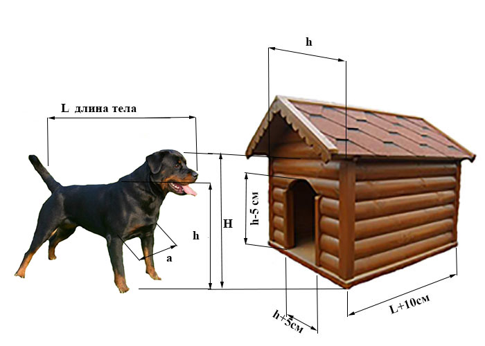 Размер будки для лайки: Будка для собаки размеры | Как расчитать