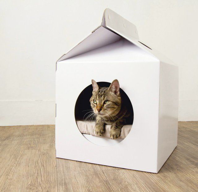 Домик для кошек из коробки своими руками: пошаговая инструкция по изготовлению домика для котов из картона и футболки