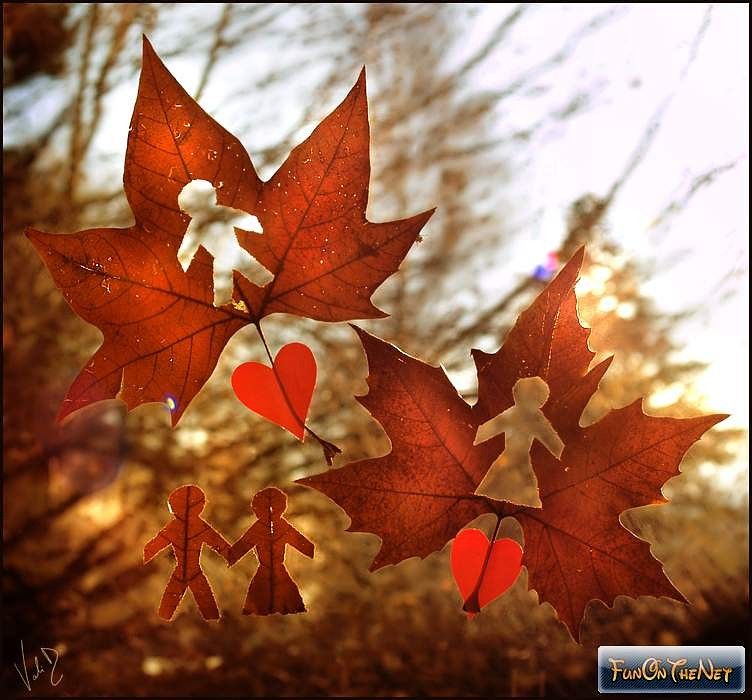 Фото сердце из осенних листьев: Сердце из осенних листьев - фото и картинки: 40 штук