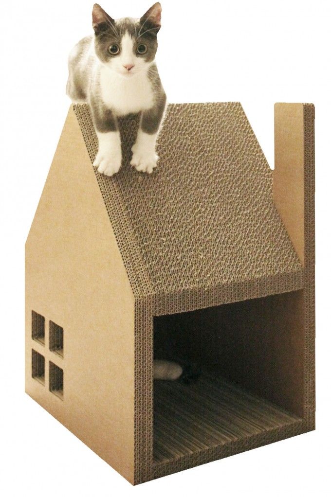 Домик из картона для кошки своими руками: пошаговая инструкция по изготовлению домика для котов из картона и футболки