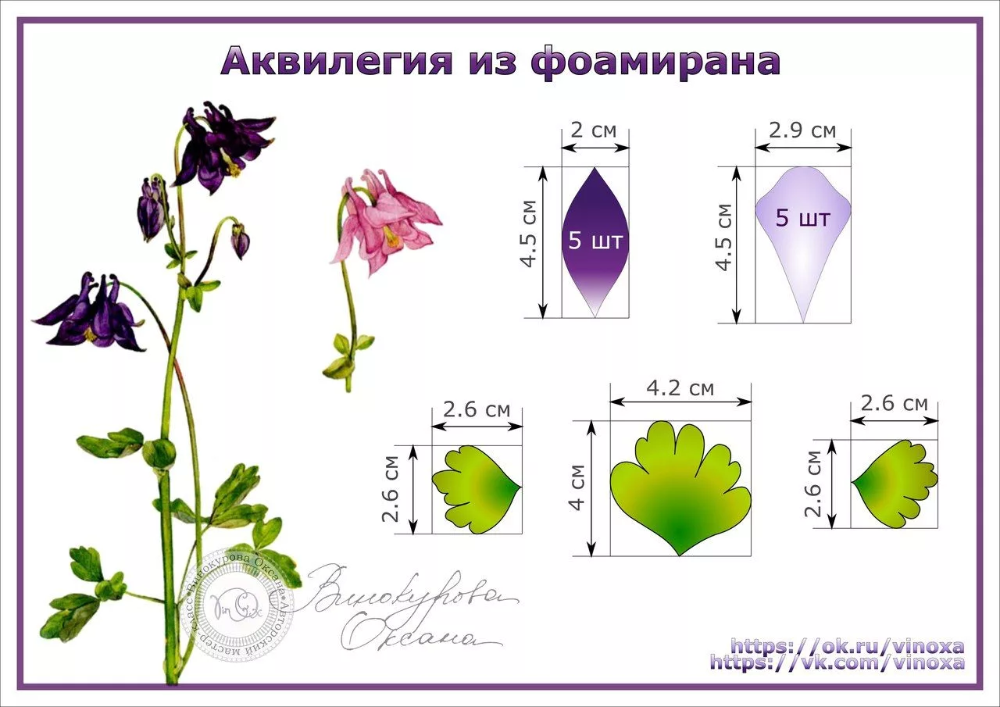 Схемы цветов из фоамирана: Цветы из фоамирана своими руками: мастер-классы для начинающих