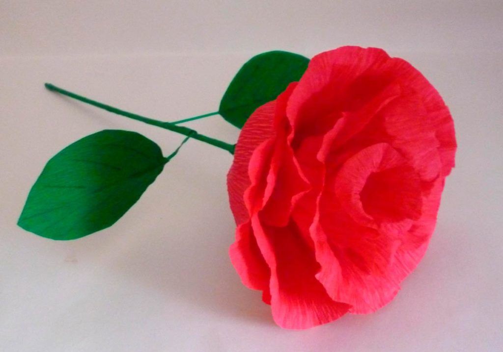 Розы из гофробумаги как сделать: своими руками, с пошаговым фото
