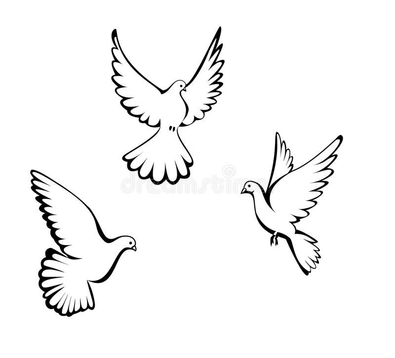 Распечатать шаблон голубя: Объемный Голубь Мира Шаблон и Трафарет