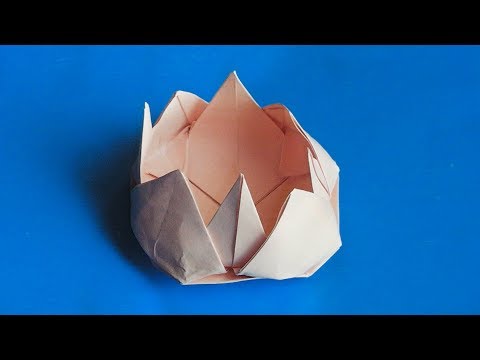 Оригами из лотос: Лотос | Оригами