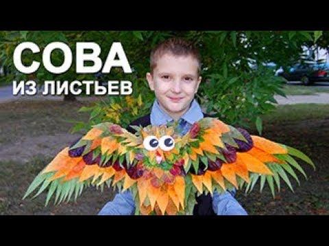 Сова из листьев сухих: Сова из листьев своими руками: как сделать поделку сову из листьев в пакете, осенняя поделка