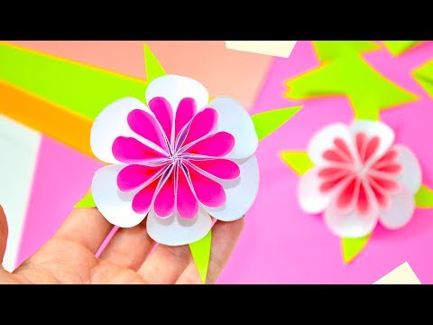 Объемный цветок видео из бумаги: Объемные цветы оригами из бумаги. Origami paper flowers