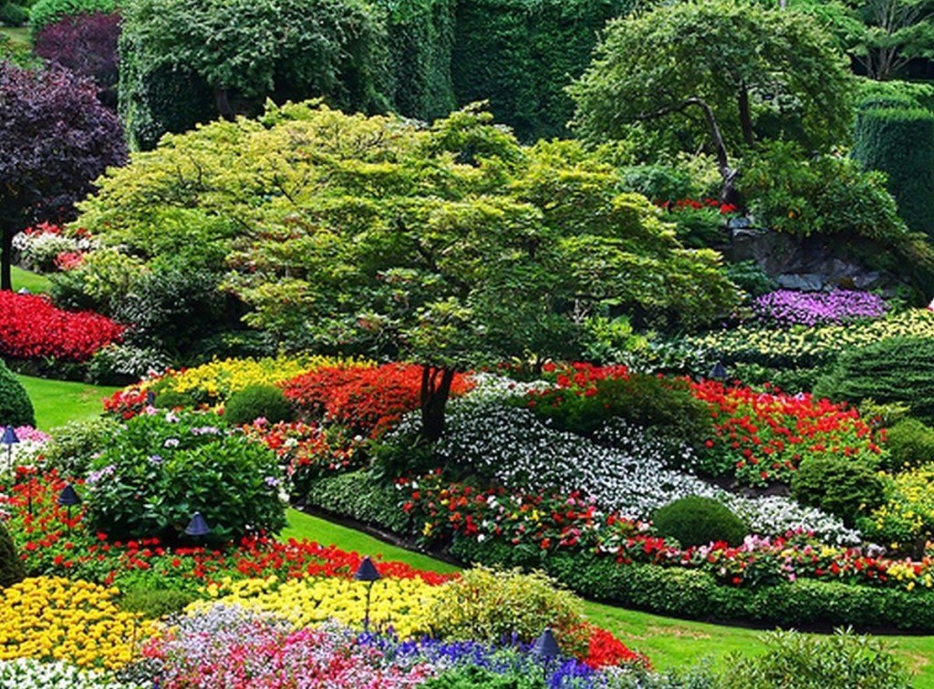Сады красивые: Самые красивые сады мира и необычные решения дизайна с фото и описанием
