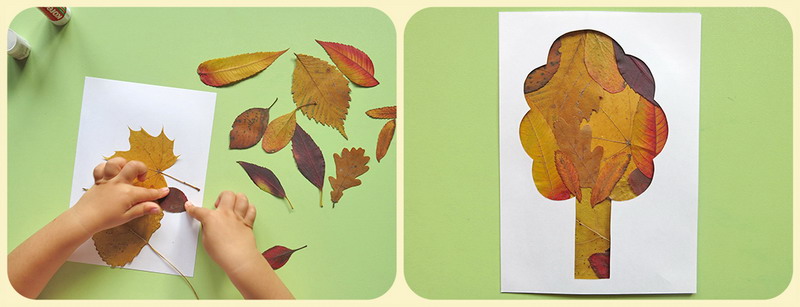 На какой клей лучше клеить листья деревьев на бумагу: Чем и как приклеить листья деревьев на бумагу для поделок