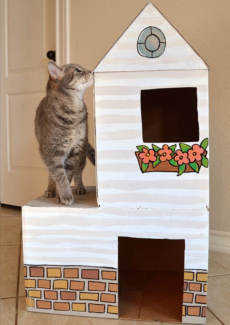 Как сделать домик из коробки для котенка своими руками: пошаговая инструкция по изготовлению домика для котов из картона и футболки