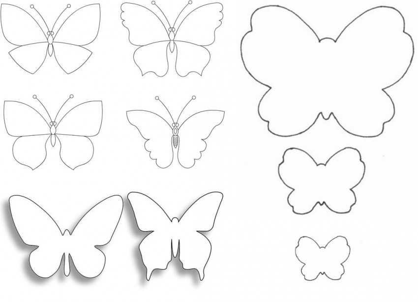 Объемные бабочки из бумаги шаблоны для вырезания: Шаблоны и контуры бабочек на стену для вырезания из бумаги: скачать и…