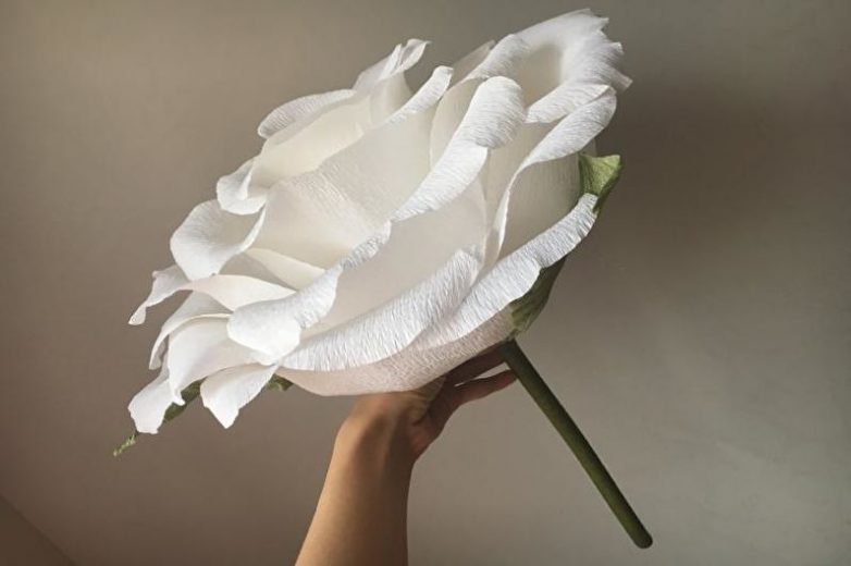 Цветы большие из бумаги видео: Цветы из бумаги. Большие цветы.DIY Giant Paper Flower