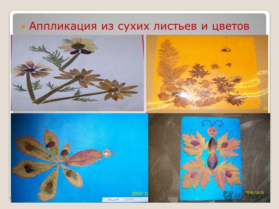 Аппликация из сухих листьев и цветов: Аппликации-КАРТИНЫ из сухих ЦВЕТОВ (42 фото).