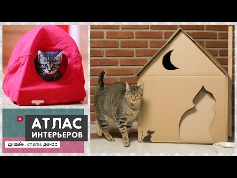 Домик для кота из коробки и футболки своими руками: Как сделать домик для кошки из футболки