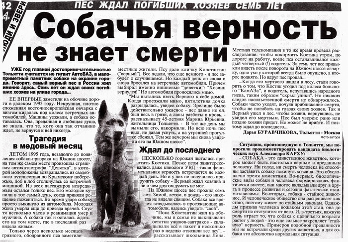 Собака из газеты: Скульптуры собак из газет: идеи для вдохновенного творчества