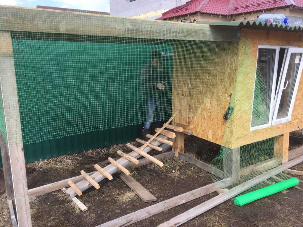 Теплый курятник: Как построить тёплый курятник на зиму своими руками