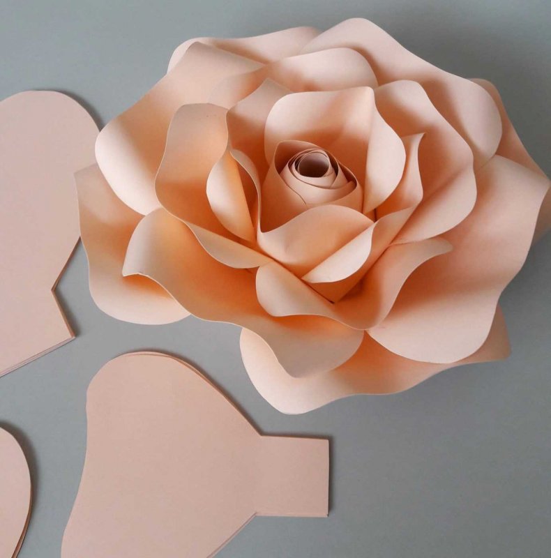 Цветы большие из бумаги видео: Цветы из бумаги. Большие цветы.DIY Giant Paper Flower