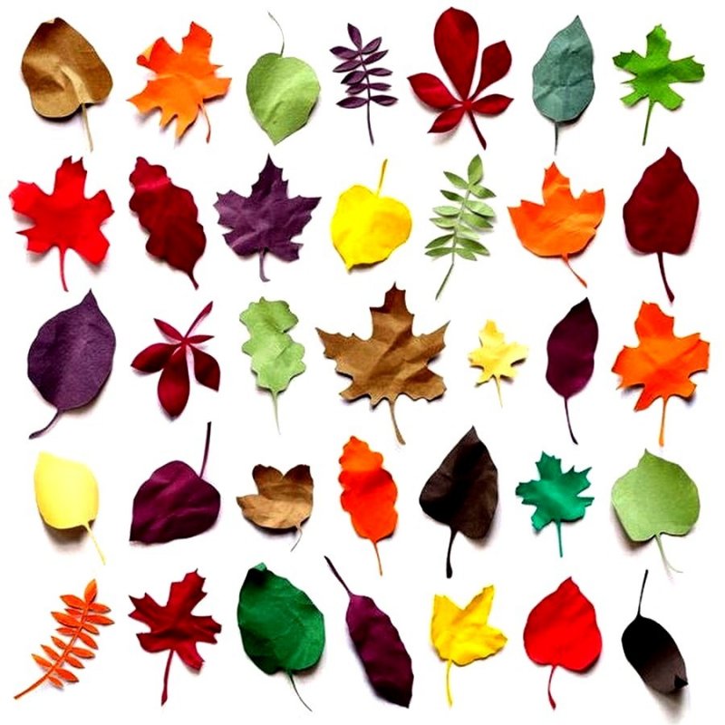 Цветы и листья из бумаги: (9) Простой способ сделать листья для цветов / Листья на проволоке - YouTube