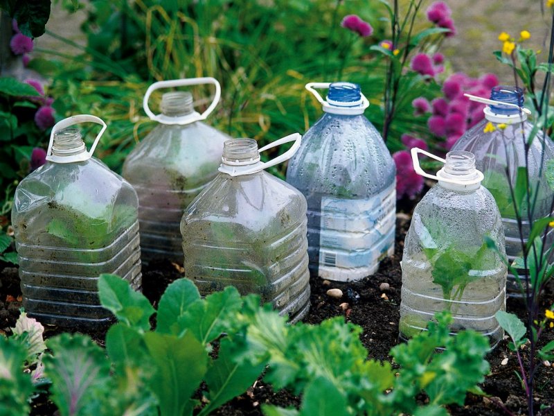 Что можно на даче сделать из пластиковых бутылок: Поделки из бутылок для дачи. Лучшие идеи для красоты и уюта