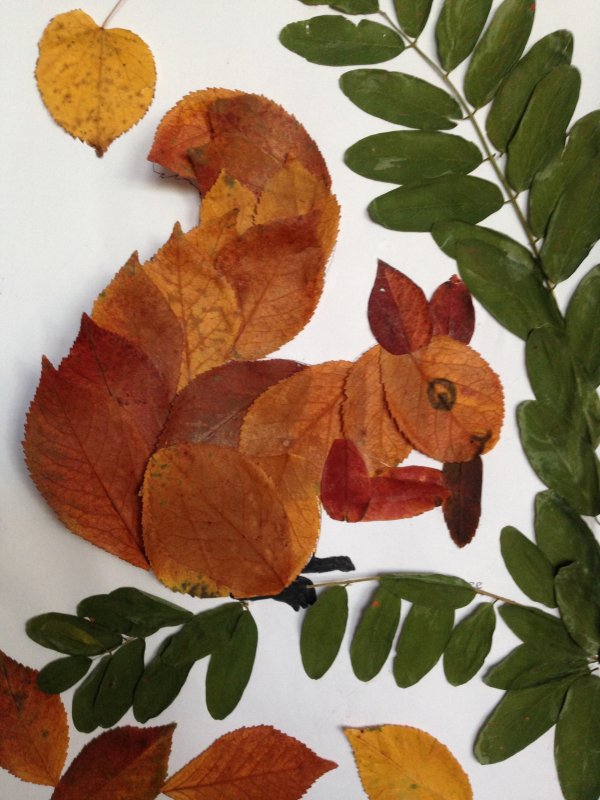 Как сделать из листьев белку: Белочка из осенних листьев - Поделки из природного материала , Аппликация, для детей от 7 лет