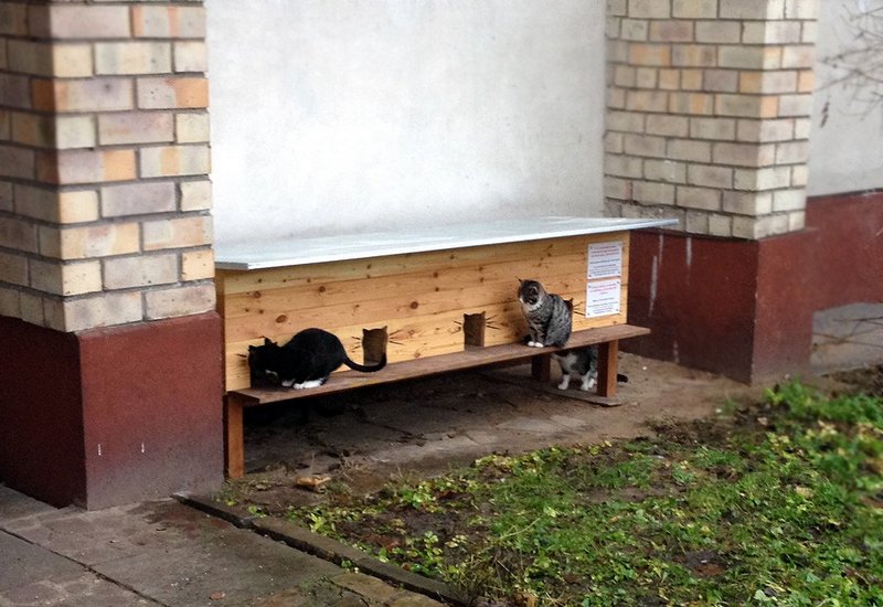 Домик своими руками для бездомных кошек: Домики для бездомных кошек на улице – это возможно!