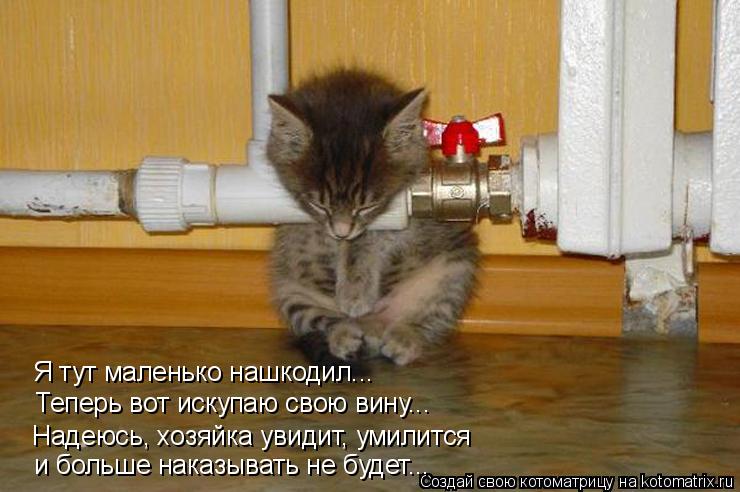Отопления нет картинки: Картинки "Дали отопление" (25 фото) • Прикольные картинки и позитив