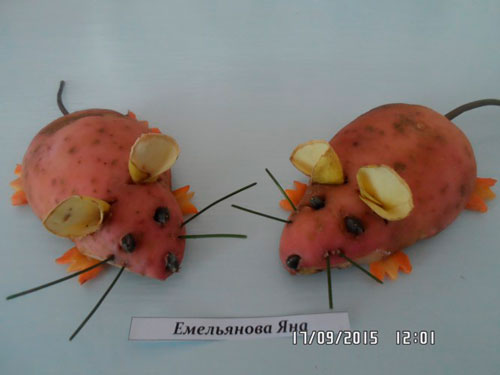 Поросята из овощей поделки: Поделка из картошки (картофеля) своими руками: поросенок из природного материала