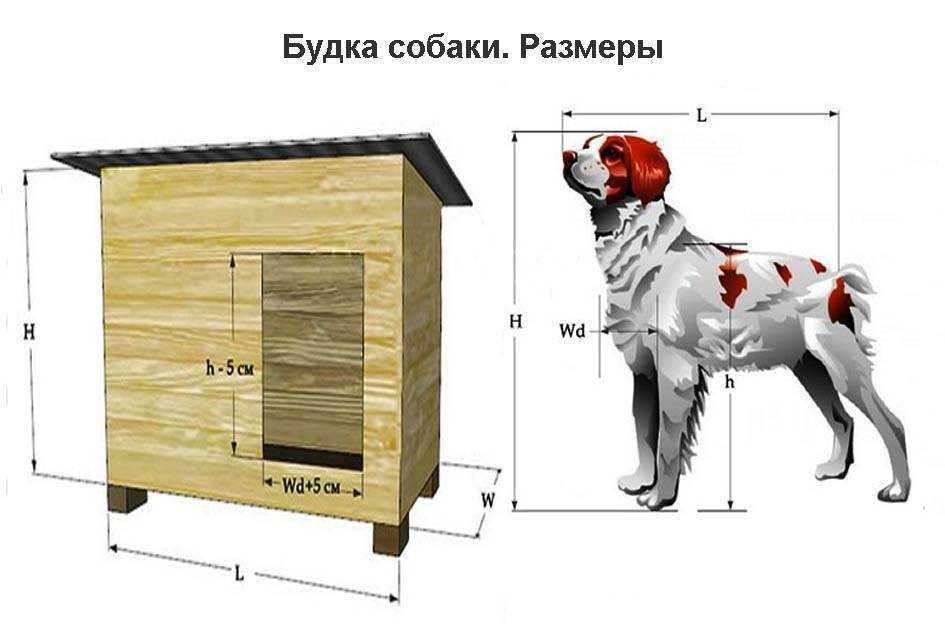 Как построить конуру для собаки своими руками видео: Как сделать будку для собаки своими руками