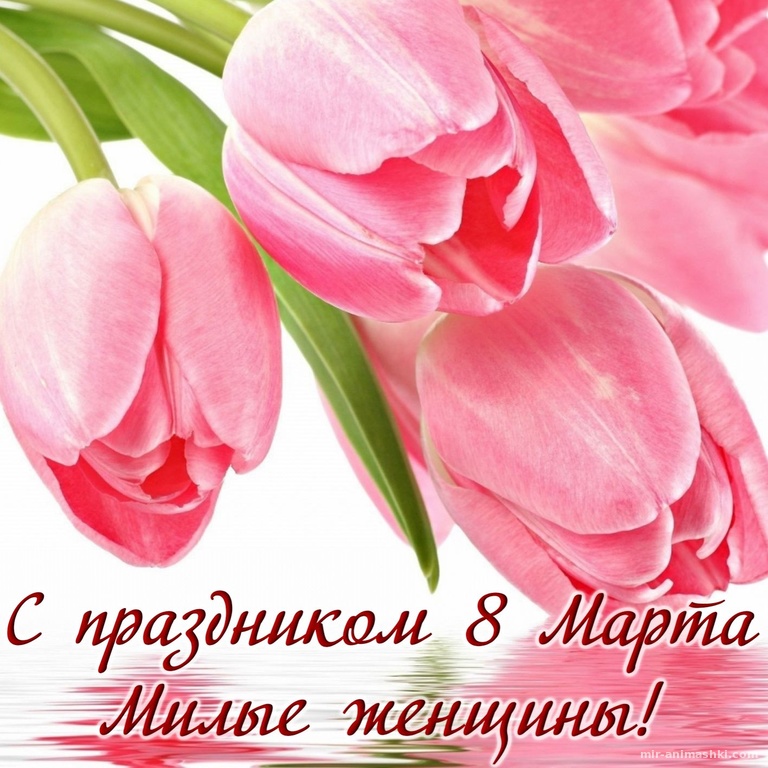 Открытки к празднику: Открытки к праздникам, пожелания, скачать бесплатно.