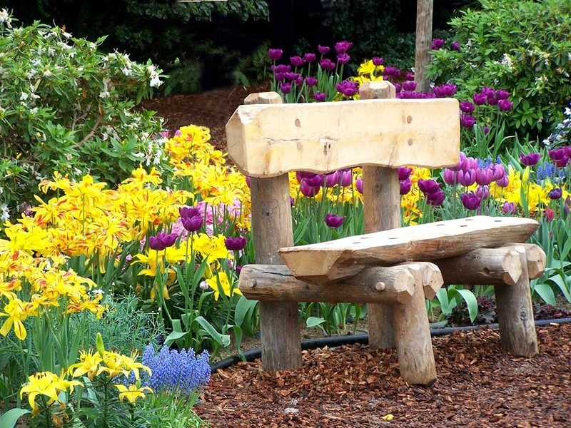 Лавочка в саду: Скамейки в саду: фото идеи красивых лавочек, виды, как выбрать и куда поставить садовую скамейку