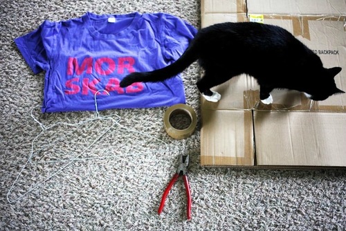 Домик для кота из коробки и футболки своими руками: Как сделать домик для кошки из футболки