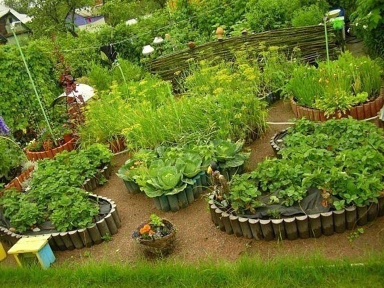 Сад огород дача фото: Сад и огород своими руками: 40 фото красивой дачи