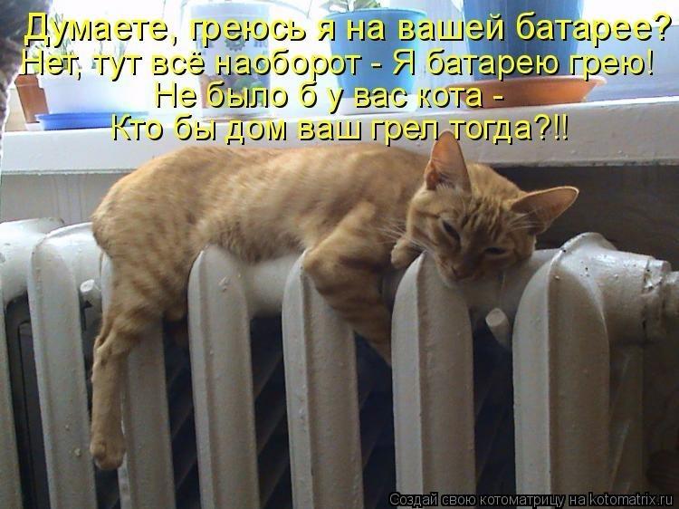 Отопления нет картинки: Картинки "Дали отопление" (25 фото) • Прикольные картинки и позитив