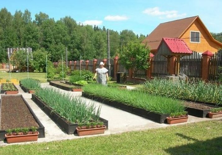 Сад огород дача фото: Сад и огород своими руками: 40 фото красивой дачи