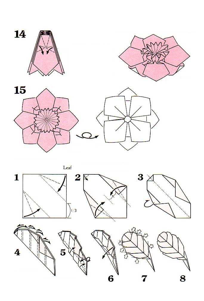 Цветы из бумаги своими руками схемы поэтапно: Цветы из бумаги своими руками: схемы и шаблоны