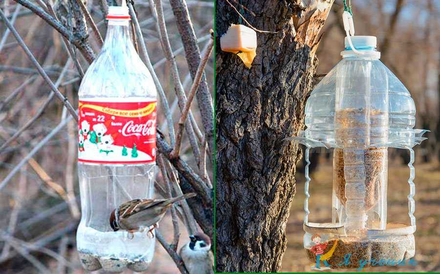 Кормушки для птиц своими руками из пластиковых бутылок фото: Кормушка для птиц из пластиковой бутылки: 700 фото, инструкции