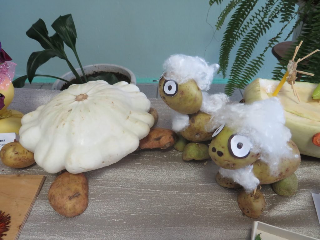 Овечки из цветной капусты поделка пошагово: пудель и овечка в детский сад своими руками, поделка собаки. Осеннее дерево в школу на выставку