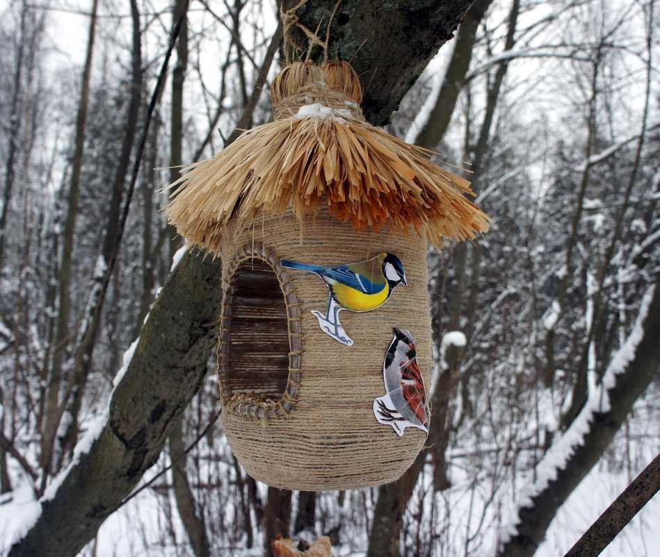 Кормушки своими руками для птиц как сделать: Кормушки своими руками для птиц: интересные идеи воплощения