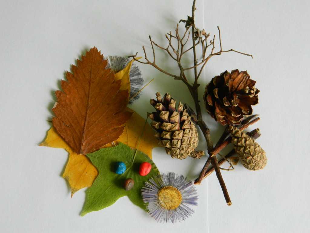 Осенние поделки для детского сада своими руками из шишек: Осенние поделки из шишек - фото и картинки: 64 штук