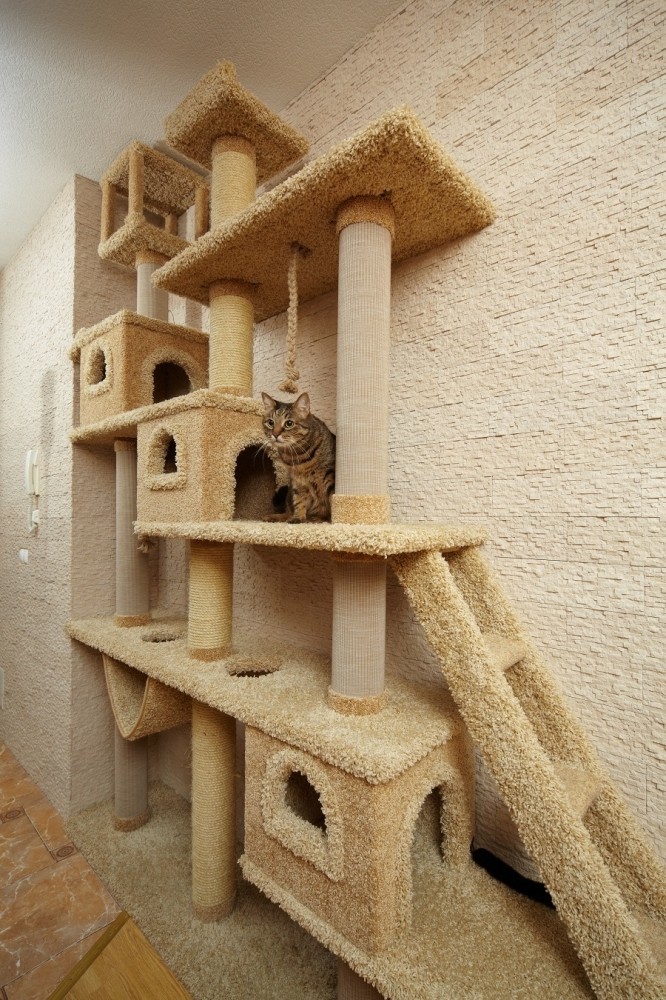 Домик для кота: 33 Бесподобных домика для кошек, которые можно сделать своими руками