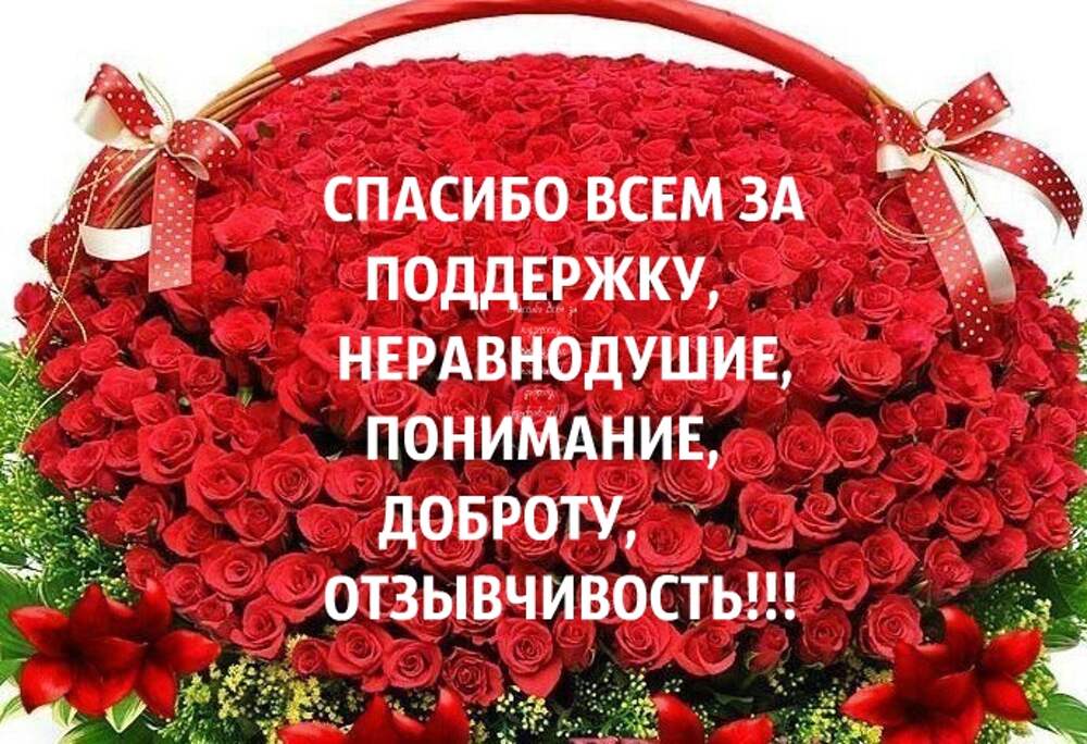 Картинки открыт сбор: Картинки закупка в понедельник (45 фото) » Юмор, позитив и много смешных картинок