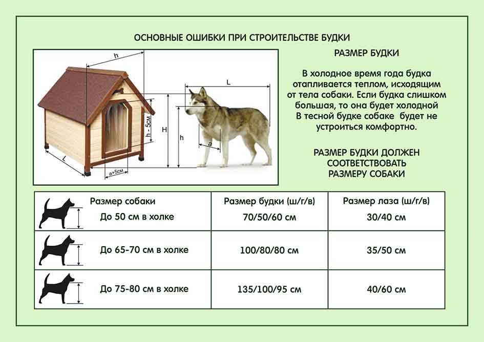 Размер будки для лайки: Будка для собаки размеры | Как расчитать