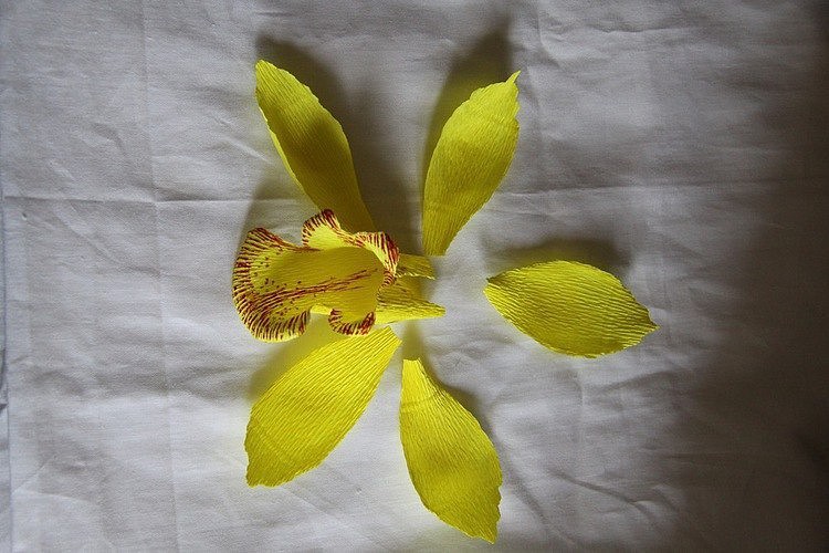 Орхидеи своими руками из бумаги: Хрупкие орхидеи из бумаги своими руками