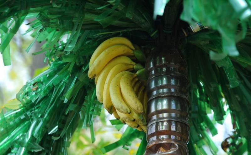 Пошагово из пластиковых бутылок пальму сделать: Пальма из пластиковых бутылок 🍀 своими руками пошагово для начинающих, фото