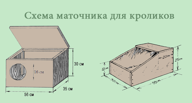 Клетка для крольчихи с маточником своими руками: Маточник для кроликов своими руками: чертежи -