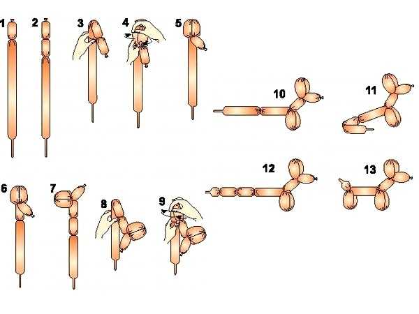 Как сделать собачку из шарика пошаговая инструкция: Как сделать собачку из воздушного шарика: пошаговая инструкция с фото