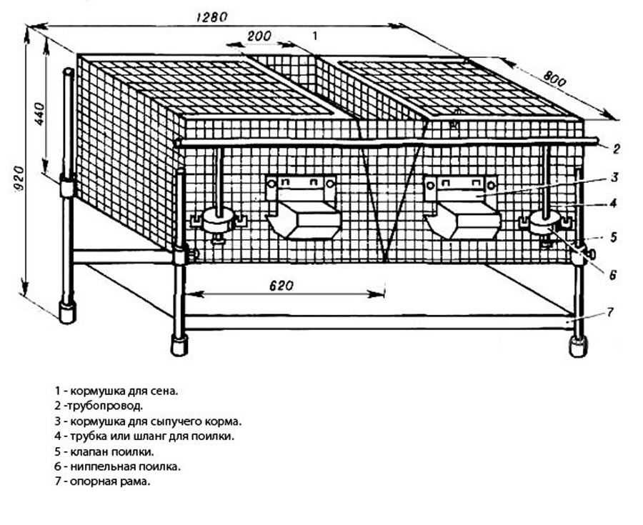 Клетка для крольчихи с маточником своими руками: Маточник для кроликов своими руками: чертежи -