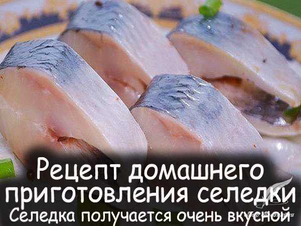 Как засолить рыбу в домашних условиях вкусно: Как засолить рыбу в домашних условиях