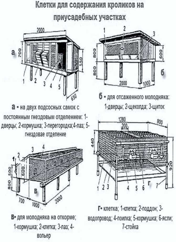 Как сделать крольчатник своими руками схема простая: Как сделать крольчатник своими руками — схема, размеры, фото